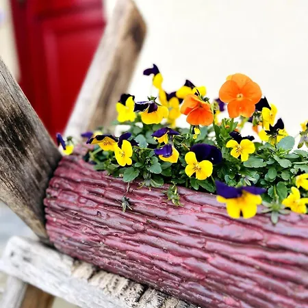 Le Chant Des Oiseaux-campagne-spa-parking *